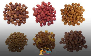 غذای خشک گربه